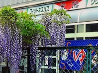 【大阪府の穴場銭湯】「栄湯」はJR野田駅徒歩2分の昔ながらの銭湯。軟水の露天風呂とサウナでリラックス