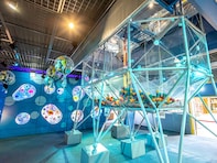 【茨城県】大人200円から！ 世界最大級プラネタリウム・海の科学館・地図専門館。科学館3選