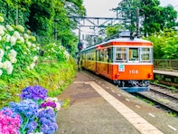 梅雨に行きたいと思う「神奈川県の旅行先」ランキング！ 2位「箱根」を抑えた1位は？【2026年調査】