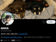 「犯罪に該当し得る行為が確認」オスカー退所めぐり尾碕真花、声明出す。「到底容認することのできない」