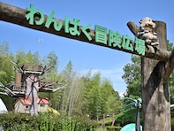 【愛知県】3公園すべて入園無料！ 森のロングスライダーから動物村まで…1日中遊べる大型公園3選
