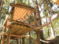 【宮城県】3公園すべて入場無料！ アスレチックで体を動かせる、森の大型公園3選