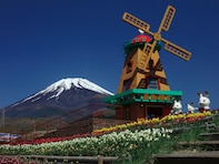 【静岡県】平日は入園無料も！ 浜名湖の26種アトラクションから大人830円の冒険王国まで…遊園地3選