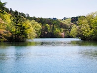 【宮城県】すべて入場無料！ 103haの自然公園から子どもに大人気の遊具広場まで…仙台市の大型公園3選