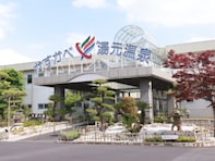 【埼玉県】児童110円から！ 天然温泉プールにウォータースライダーも。年中楽しめる屋内プール3選