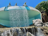 【千葉県】入園料900円で1日遊べる！ 噴水ショーが人気の温浴テーマパークも。この夏行きたい親子お出かけスポット3選