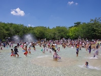 【千葉県】動物園に噴水広場、アスレチックにじゃぶじゃぶ池も。親子で行きたい水遊び3選