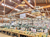【福岡県】売上高日本一の直売所に、バイキング併設の食のテーマパークも！ ファーマーズマーケット2選