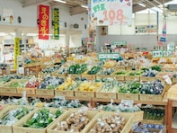 【長野県】開店前から行列の直売所に、川中島古戦場近くの大型マーケットも！ ファーマーズマーケット2選