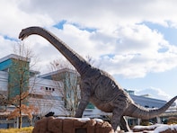 【福井県】感応式で動くティラノサウルスがお出迎え！ 新幹線ホームから“北陸のハワイ”も望める駅も。駅直結スポット2選