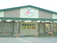【山梨県】登録農家560名・県内最大規模の直売所に、5年連続特Aランク米が並ぶ直売所も！ ファーマーズマーケット2選