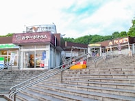 【富山県】富山駅前の名店「白えび亭」の天丼に、越中富山の薬にちなんだ銘菓も！ 北陸道で立ち寄りたいSA・PA3選