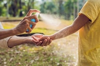 ポプリのおすすめ人気ランキング10選 作り方や使い方もあわせて紹介 虫除けにも Best One ベストワン ポプリのおすすめ人気ランキング10選 作り方や使い方もあわせて紹介 虫除けにも Best One ベストワン