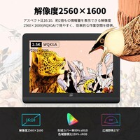 新登場 Artist Pro 16（Gen2）液晶ペンタブレット 【メーカー保証2年】