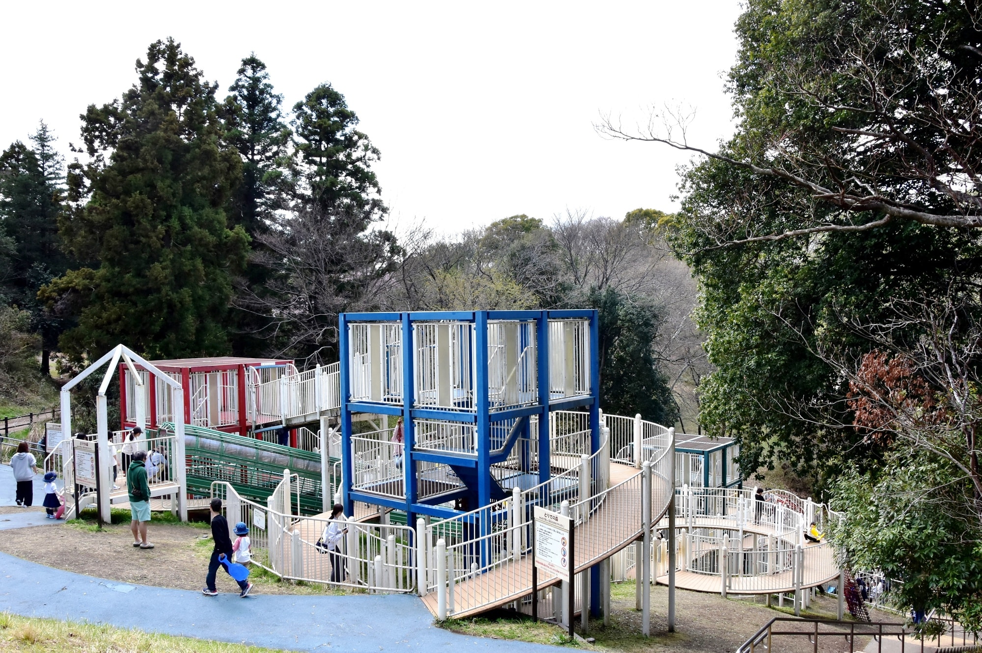 こども自然公園 大池