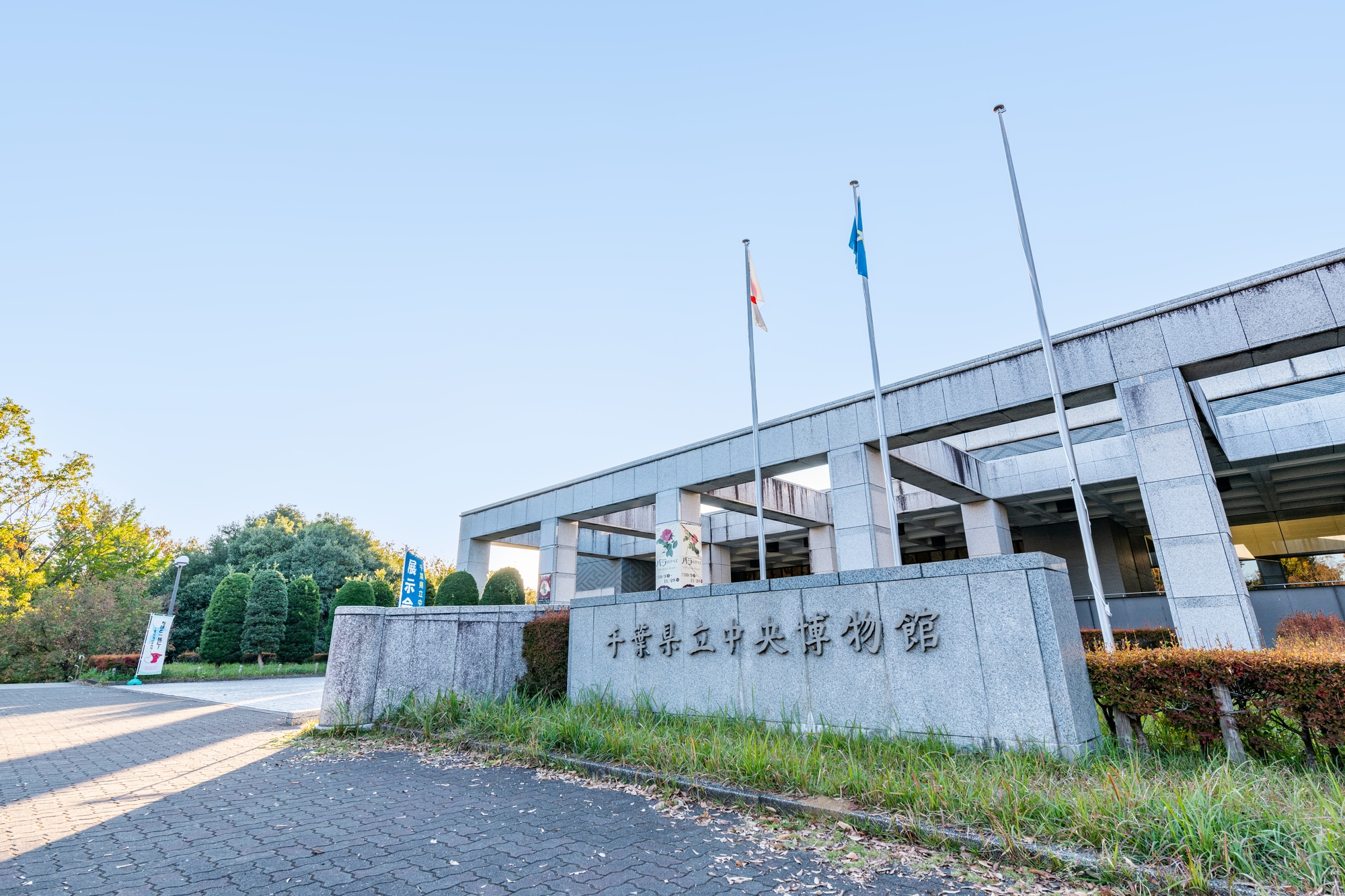 千葉県立中央博物館