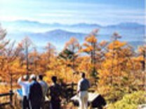 メルヘン街道 黄金色に輝く落葉林の黄葉 長野の観光 旅行 All About