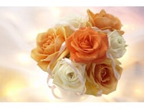 9月の花】パイナップルリリー [フラワーアレンジメント] All About