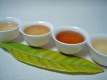 花粉症対策の中国茶 中国茶 All About 花粉症対策の中国茶 中国茶 All About