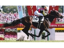 2025年新作入荷 名馬物語 メイセイオペラとプロジェクトX About All [競馬] その他