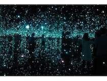 水玉の女王、草間彌生展ー六本木で生涯の集大成 [アート・美術展 水玉の女王、草間彌生展ー六本木で生涯の集大成 [アート・美術展