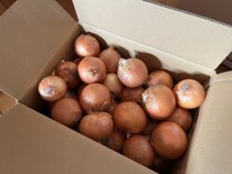 メルカリで取引メッセージがない。もしかして無視された？ 返事がない