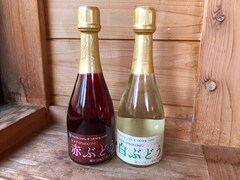 クリスマスやお正月におすすめ！ シャトレーゼの「ソフトスパークリング」を飲んでみた