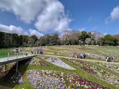 「里山ガーデンフェスタ」横浜市内最大規模の大花壇が圧巻！ パステルカラーの花々に囲まれて春散歩を