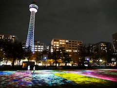 横浜・山下公園に蝶が舞う「胡蝶のめぐる季節～ヨルノヨ」蜷川実花とコラボした映像作品を投影