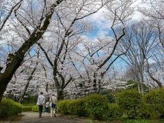 横浜18区で「老後を過ごしたいと思う区」ランキング！ 同率2位「鶴見区」「都筑区」、1位は？