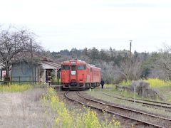 【小湊鐵道】トロッコ列車の代役「キハ40形」観光急行列車で、菜の花満開の車窓を楽しむ旅