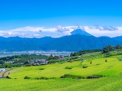 山梨県の13市で「老後に住みたい」と思う市ランキング！ 2位「南アルプス市」、1位は？【2025年調査】