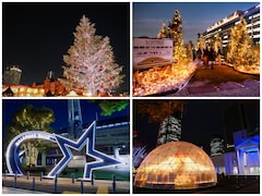 “横浜赤レンガ倉庫一択”はもったいない！ 横浜ベイエリアに入場無料の新・クリスマスマーケット続々