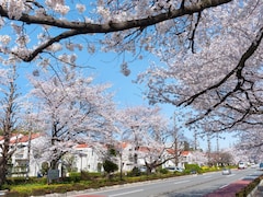 東京郊外で「治安がいいと思う市」ランキング！ 2位「国立市」、1位は？【専門家の解説も】