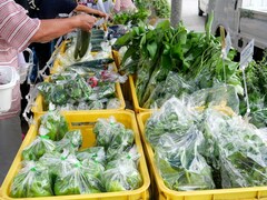 【横浜市】観光地でも新鮮「横浜野菜」が買える！ 行列必至のファーマーズマーケット2選