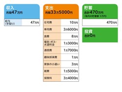相談者「ネコ」さんの家計収支データ