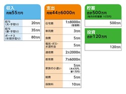 相談者「ライオン」さんの家計収支データ