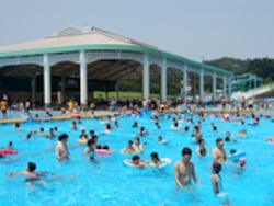 大きな屋根が日陰になって、これが意外と助かりますよ