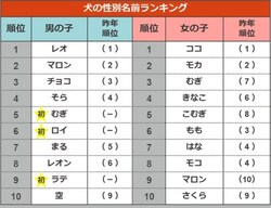 犬の名前ランキング21 2位は昨年1位の ココ 大躍進の1位は 21年5月18日 Biglobeニュース