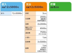 「月と星」さんの家計収支データ