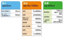 一匹うさぎさんの家計収支データ