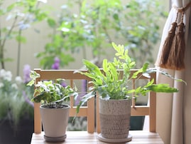 「貧乏体質な人」の部屋の特徴とは？脱・貧乏体質のヒント