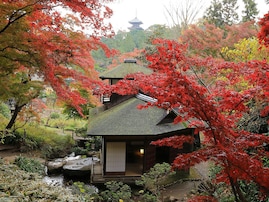 「横浜」に詳しい旅のプロが感動した！ 秋の行楽に本気で推したい名所3選【2025年最新】