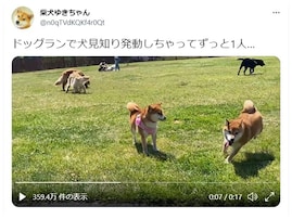 「飲み会の時の俺」「自分を見ているよう」犬見知りを発動した柴犬に共感の声続々【飼い主さまに取材した】