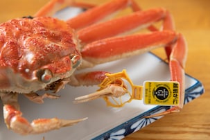 そば、カニ、水ようかん、日本酒…福井の豊かな食文化を訪ねる旅