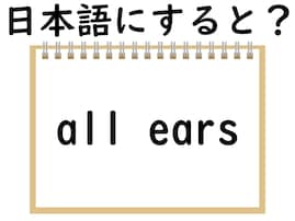 「all ears」はどういう意味？ 会話ですぐに使える表現！ 【英語クイズ】