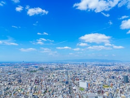 日本で最も「住みたい自治体」ランキング！ 2位「沖縄県那覇市」、1位は？【18万人が回答】