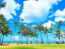 2024年お盆の「海外人気観光地」ランキング！ 2位は「ハワイ ホノルル」、では1位は？