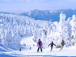 「雪景色が美しい」と思う都道府県ランキング！ 2位「山形県」、1位は？