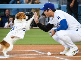 大谷翔平のデコピンが始球式!? かわいすぎる“投球姿”に反響「なにこれ可愛すぎない！？！？」「賢い」